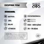 Despink Fem (Fotoperiódica) - Silver River Seeds x5 - Imagen 2