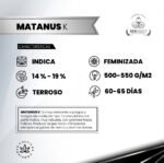 Matanus-k Fem - Gea seeds - Imagen 2