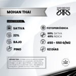 Mohan Thai  Foto Fem - Silver River Seeds x5 - Imagen 2