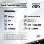 Sour Compassion Fem - Silver River Seeds x5 - Imagen 2