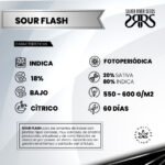 Sour Flash Fem - Silver River Seeds x5 - Imagen 2