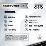 Star Power Fem - Silver River Seeds x5 - Imagen 2