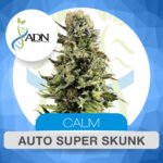 Super Skunk Auto - ADN Seeds x3