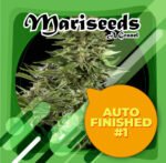 Auto Finished #1 3+1 - Granel