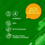 Auto White Critical 3+1 - Granel - Imagen 2