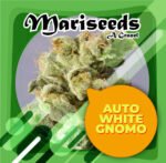 Auto White Gnomo 3+1 - Granel