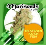 Desfran Kush Fem 3+1 - Granel