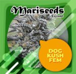Dog Kush Fem 3+1 -Granel