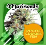 Peyote Cookies fem 3+1 - granel