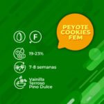 Peyote Cookies fem 3+1 - granel - Imagen 2