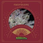 Chocolope Fem x3 - Santa Semilla