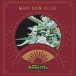 Maxi Com Auto x3 - Santa Semilla