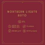 Northern Light Auto x3 - Santa Semilla - Imagen 2