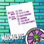Marmalate Regular x7 - Delicious Seeds - Imagen 2