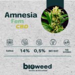 Amnesia Real CBD Fem x3 - Bioweed - Imagen 2