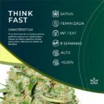 Think Fast fem x3 - Dutch Passion - Imagen 2