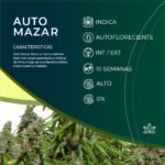 Auto Mazar x3 - Dutch Passion - Imagen 2