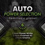 Power Selection Automix x6