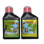 Top Coco A y B - Top Crop