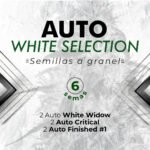 White Selection AutoMix x6