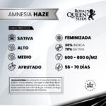 Amnesia Haze Fem X3 - Royal Queen Seeds - Imagen 2