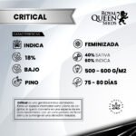 Critical Fem x3 - Royal Queen Seeds - Imagen 2