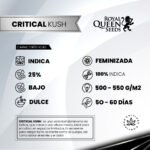 Critical Kush Fem - Royal Queen Seeds - Imagen 2