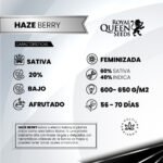 Haze Berry Fem - Royal Queen Seeds - Imagen 2