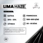Lima Haze Fem - Gea Seeds - Imagen 2