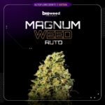 Auto Magnum Weed - Bioweed