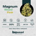 Magnum Weed Foto  Fem x3 - Bioweed - Imagen 2