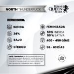 North Thunderfuck Fem x3 - Royal Queen Seeds - Imagen 2