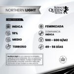 Northern Light Fem - Royal Queen Seeds - Imagen 2