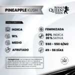 Pineapple Kush Fem - Royal Queen Seeds - Imagen 2