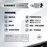 Sherbet Queen Fem x3 - Royal Queen Seeds - Imagen 2