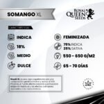 Somango XL Fem - Royal Queen Seeds - Imagen 2
