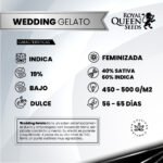 Wedding Gelato Fem x3 - Royal Queen Seeds - Imagen 2