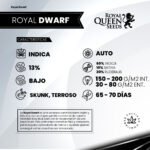 Royal Dwarf Auto - Royal Queen Seeds - Imagen 2