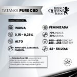 Tatanka Pure CBD Fem x3 - Royal Queen Seeds - Imagen 2