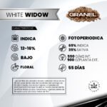 White Whidow Fem 3+1 - Granel - Imagen 2