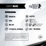 Easy Bud Auto - Royal Queen Seeds - Imagen 2
