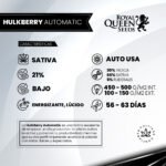 Hulkberry Auto x3 - Royal Queen Seeds - Imagen 2