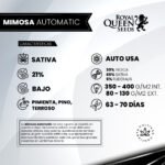 Mimosa Auto x3 - Royal Queen Seeds - Imagen 2