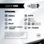 Quick One Auto - Royal Queen Seeds - Imagen 2
