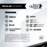 Royal AK Auto - Royal Queen Seeds - Imagen 2