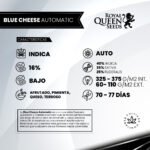 Blue Cheese Auto x3 - Royal Queen Seeds - Imagen 2