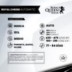 Royal Cheese Auto - Royal Queen Seeds - Imagen 2
