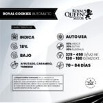 Royal Cookies Auto x3 - Royal Queen Seeds - Imagen 2