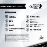 Royal Gorilla Auto x3 - Royal Queen Seeds - Imagen 2