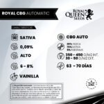 Royal CBG Auto x3 - Royal Queen Seeds - Imagen 2